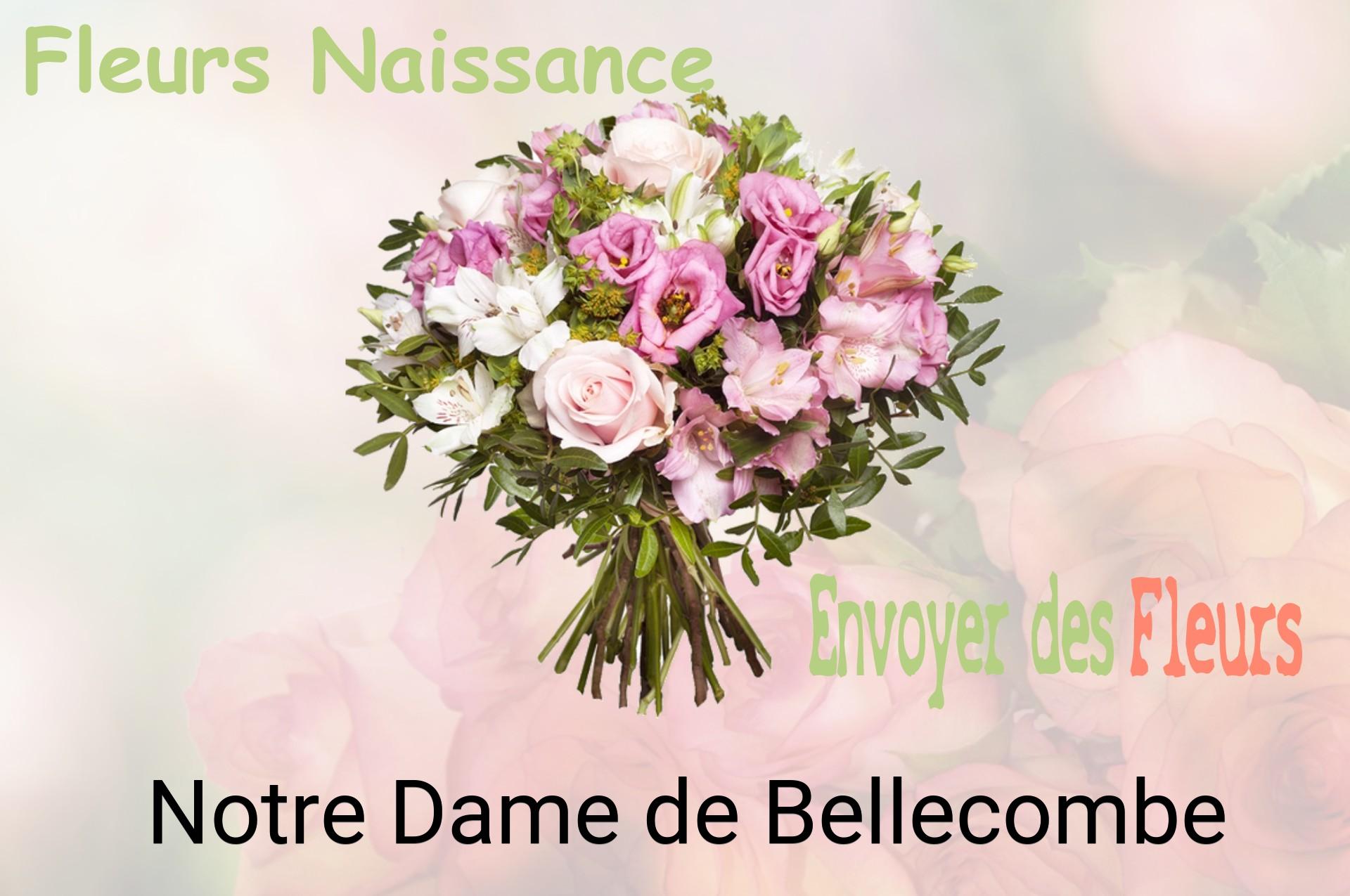 Bouquet de fleurs de naissance livré à Notre-Dame-de-Bellecombe